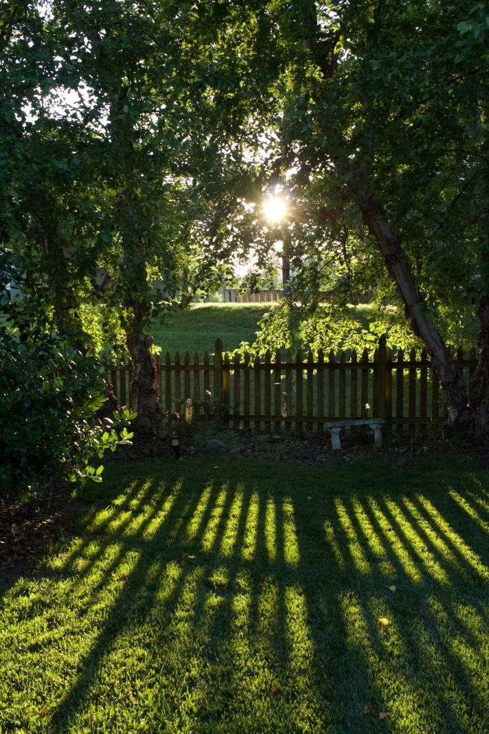 emily park pwCYq rcSZE unsplash